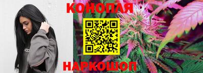 прущие грибы Балашиха