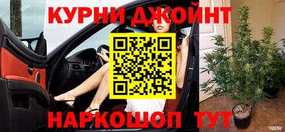 прущие грибы Балашиха