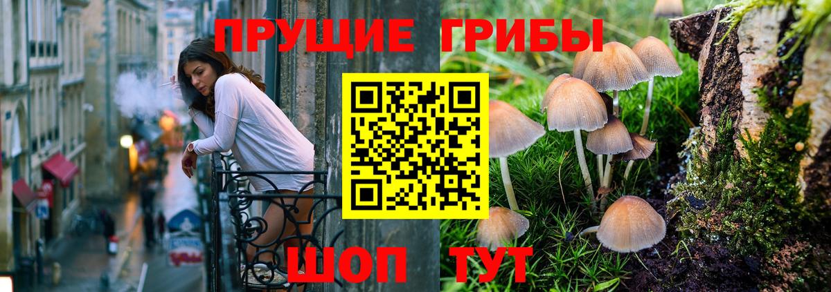 Галлюциногенные грибы MAGIC MUSHROOMS Гуково